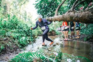 BIB: 
                            <button type="button" onclick="openModal(25478087)" class="btn btn-primary btn-sm float-right btn-popup" data-toggle="modal" data-target=".modal-high-quality">
                        <i class="fas fa-shopping-cart"></i> Add to Cart
                    </button>
                                            <button type="button" onclick="isThisMe(25478087, true)" class="btn btn-success btn-sm float-right btn-popup btn-isme hidden" data-toggle="tooltip" data-placement="bottom" title="นี่คือรูปของคุณใช่ไหม คลิกที่นี่เพื่อเอาเข้าอัลบั้ม">
                        <i class="fas fa-plus"></i> Add to album
                    </button>
                    <button type="button" onclick="isThisMe(25478087, false)" class="btn btn-warning btn-sm float-right btn-popup btn-isnotme hidden">
                        <i class="fas fa-ban"></i> Remove from album
                    </button>